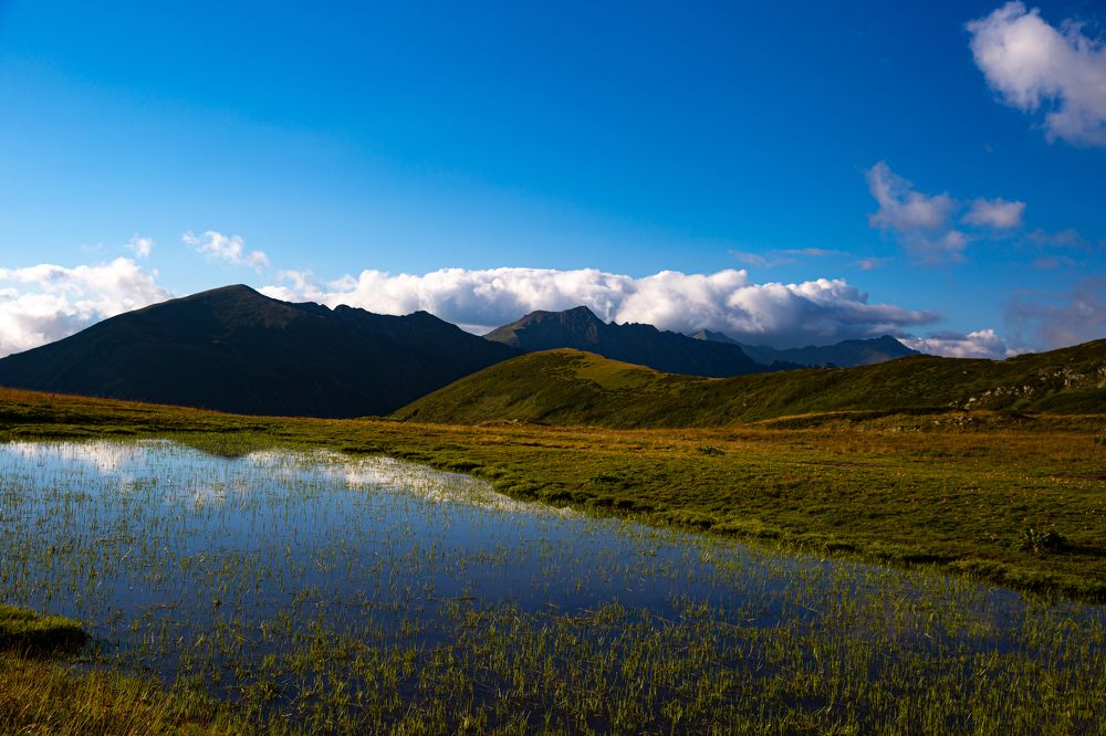 Photograph by Ирина Команова