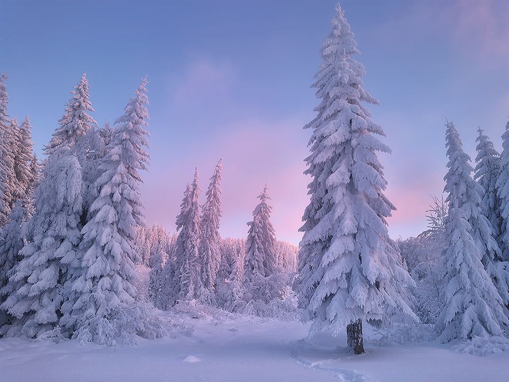 Photograph by Svetoslav Georgiev