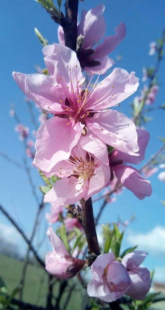 Photograph by Marijana Dragosavljevic