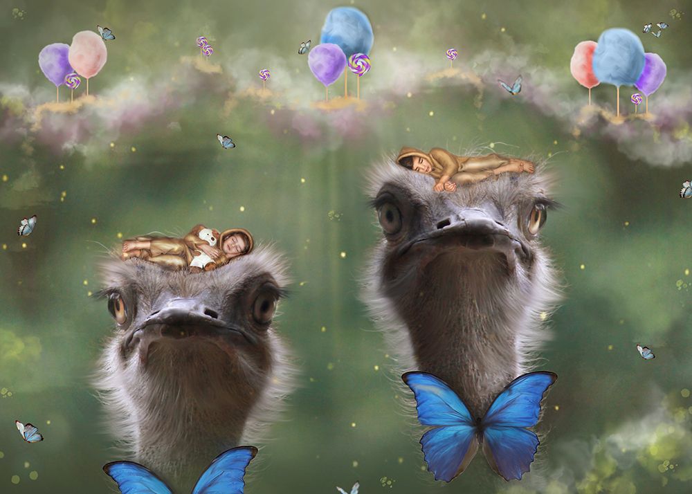 Photograph by Daniela Arze