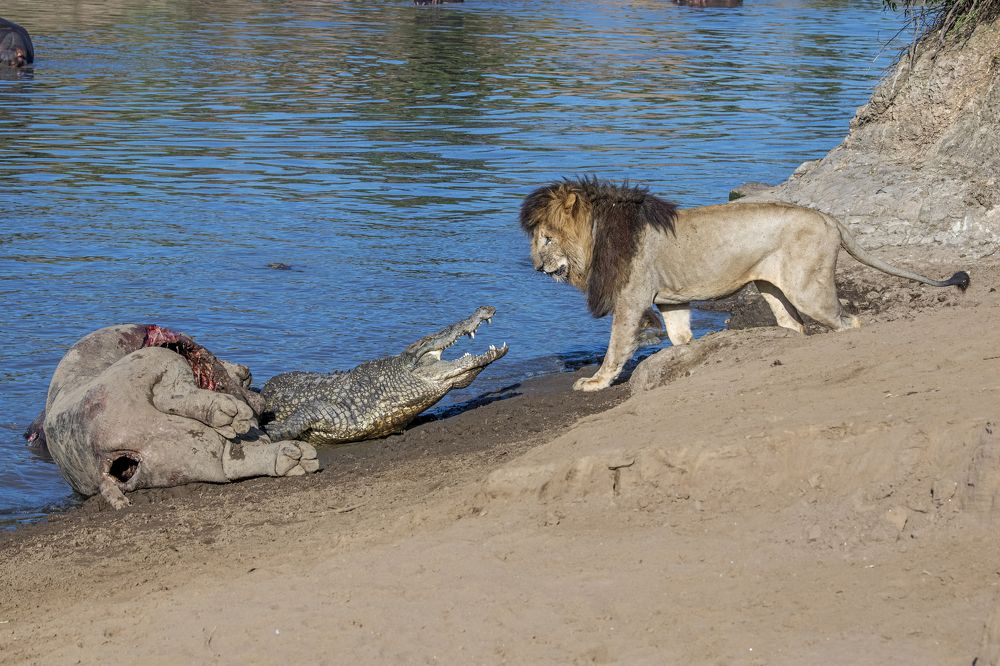 Photograph by Dilip Shah