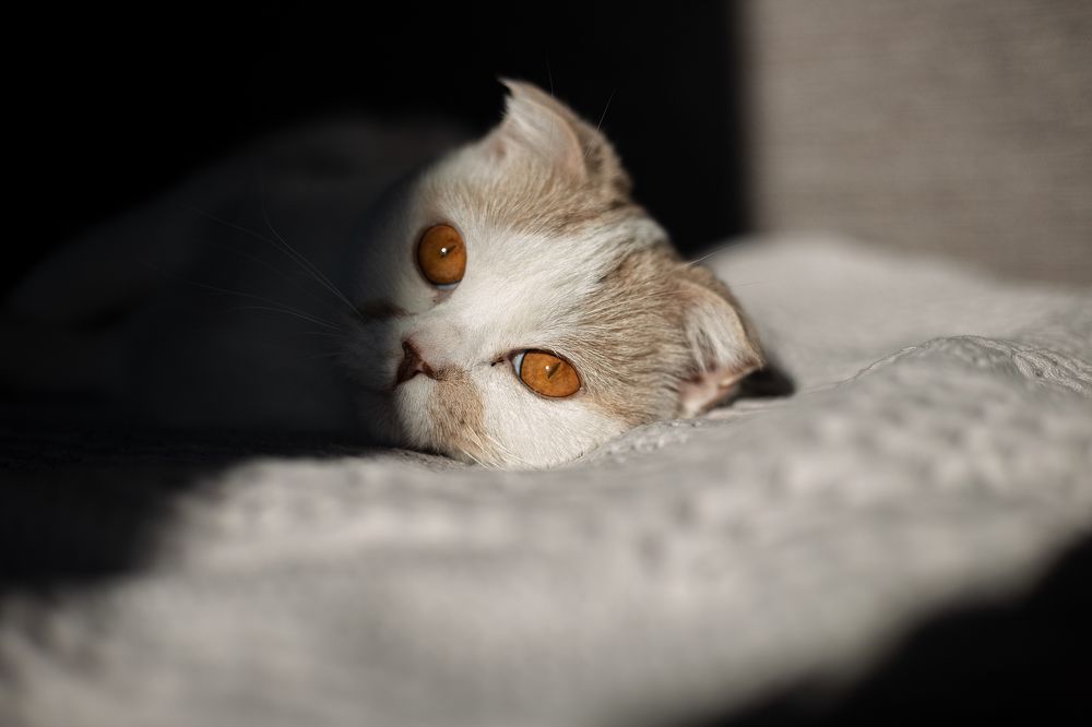 Photograph by Сергей Прохоров