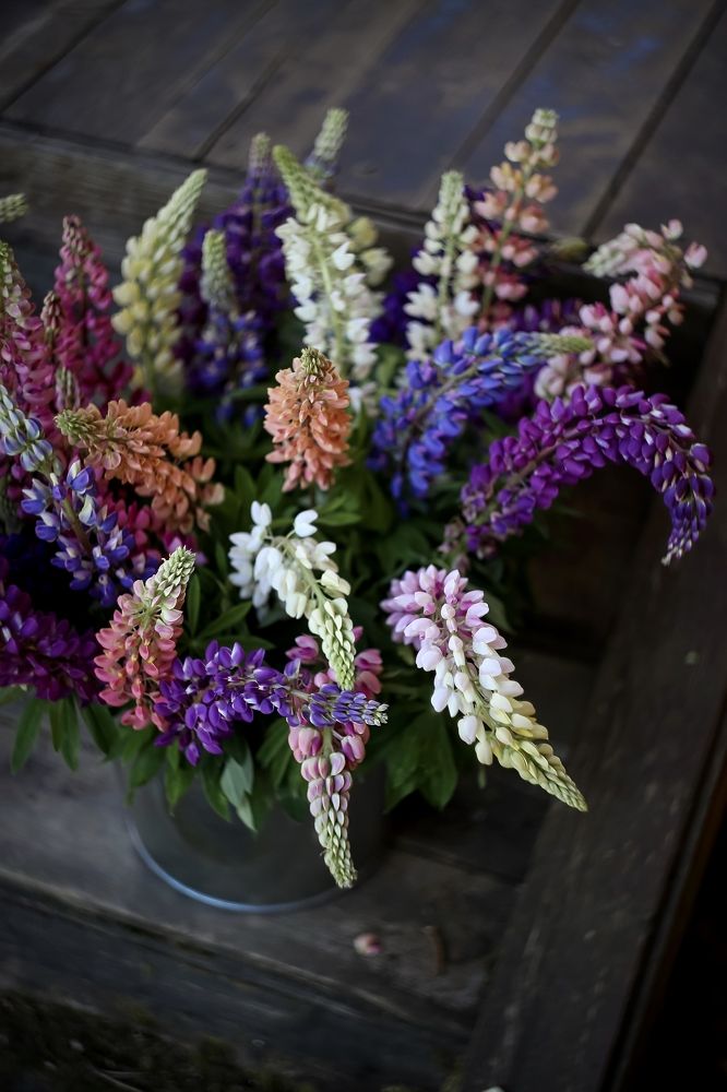 Photograph by Татьяна Кытина