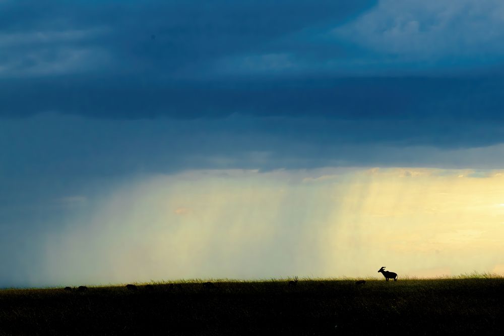 Photograph by Dilip Shah