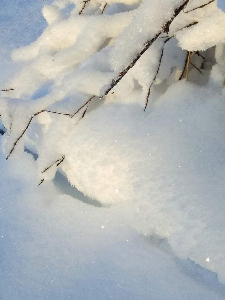 Photograph by Елена Куликова