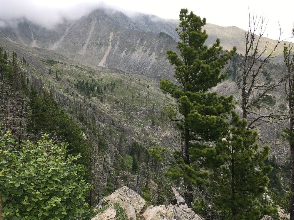 Photograph by Анна