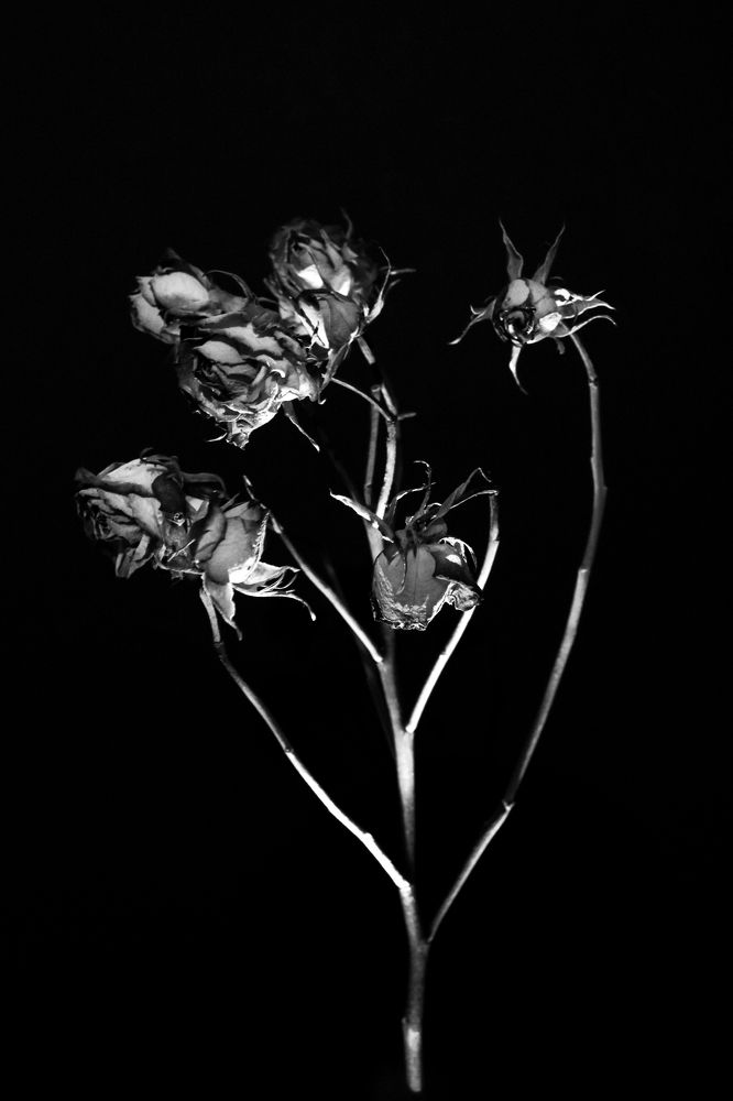 Photograph by Наталия Бочкова