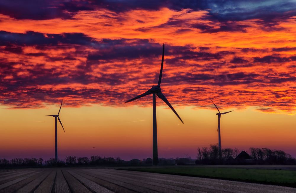 Windmills in Petten