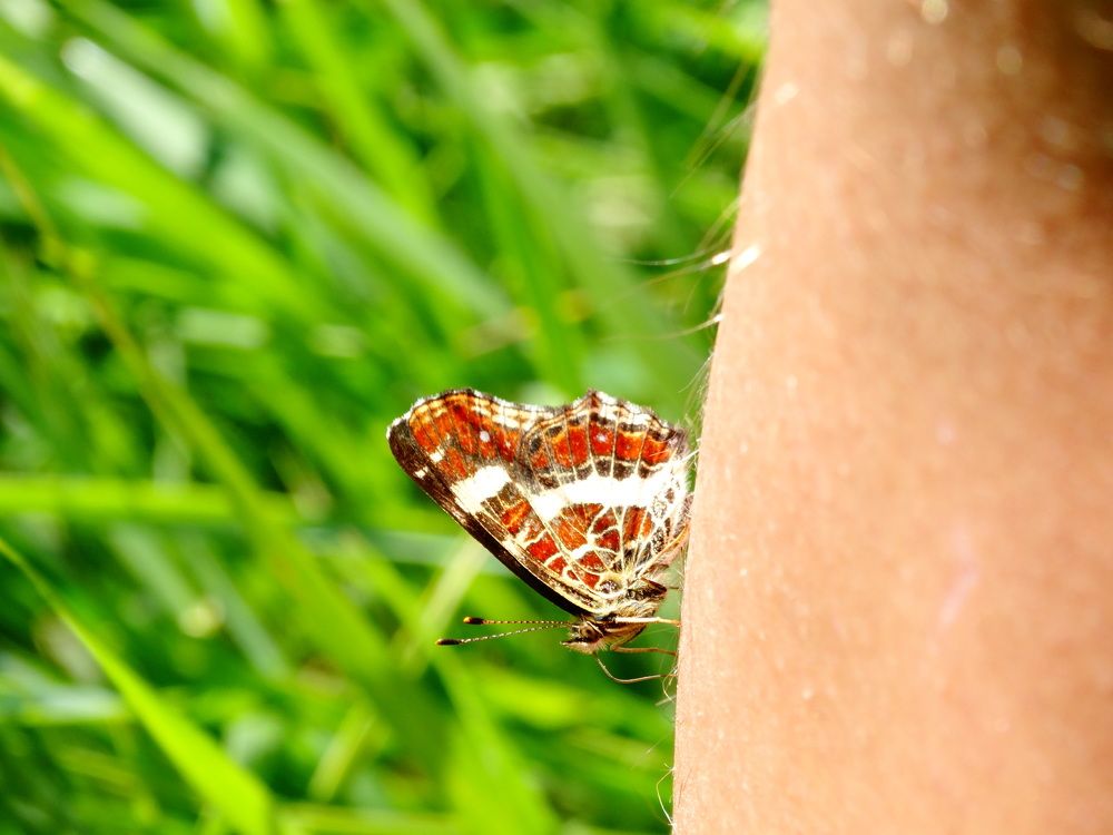 Photograph by Александра Семенихина