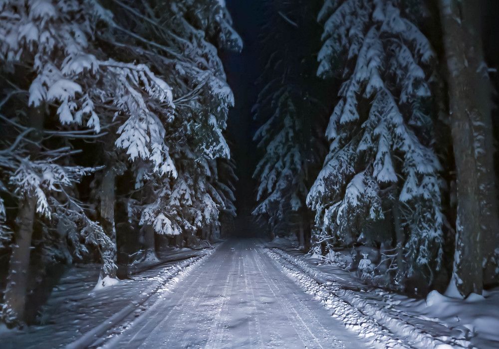 Photograph by Диана Бородзе