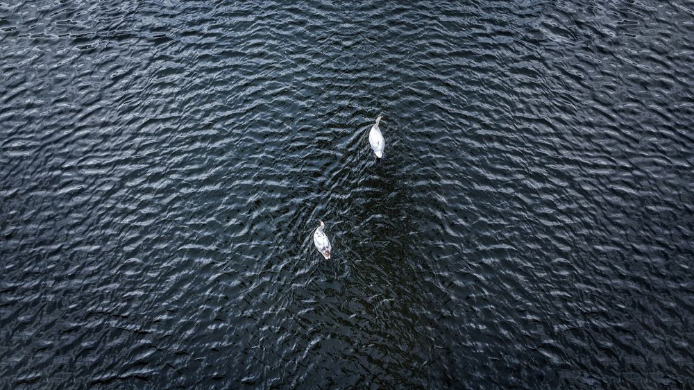 Photograph by Николай Фролов