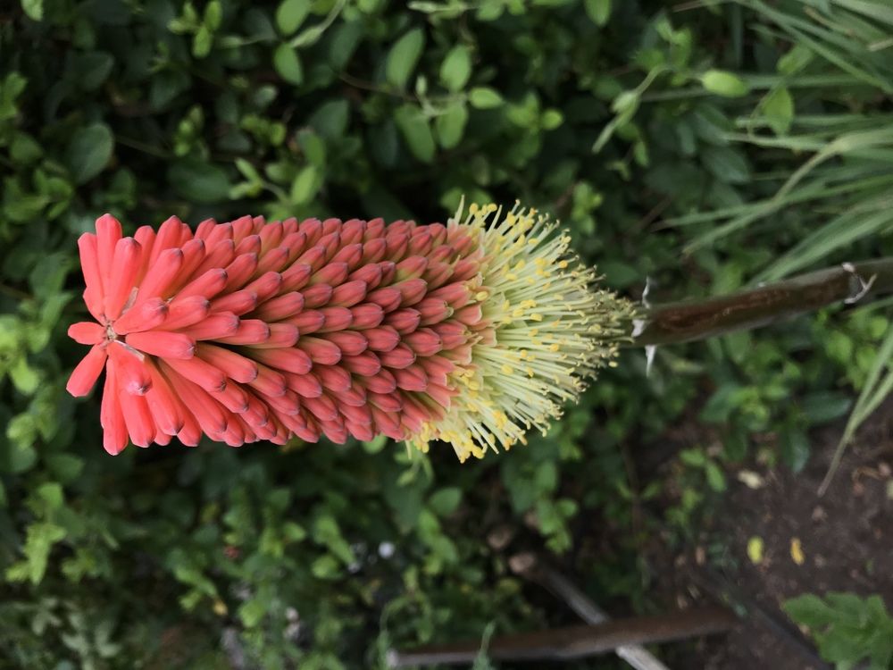 Photograph by Александр Бурлак