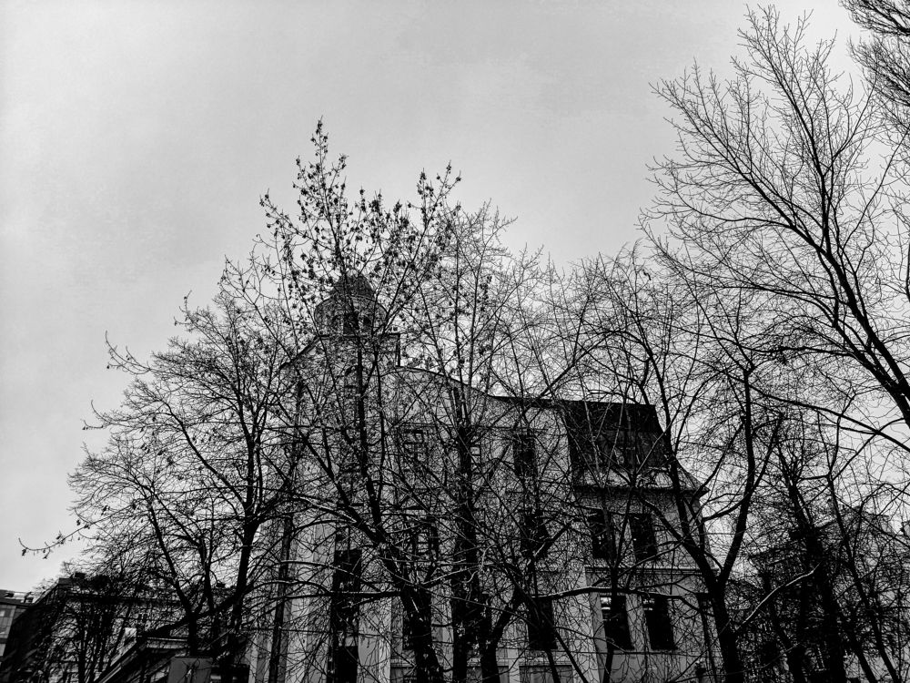 Photograph by Мила
