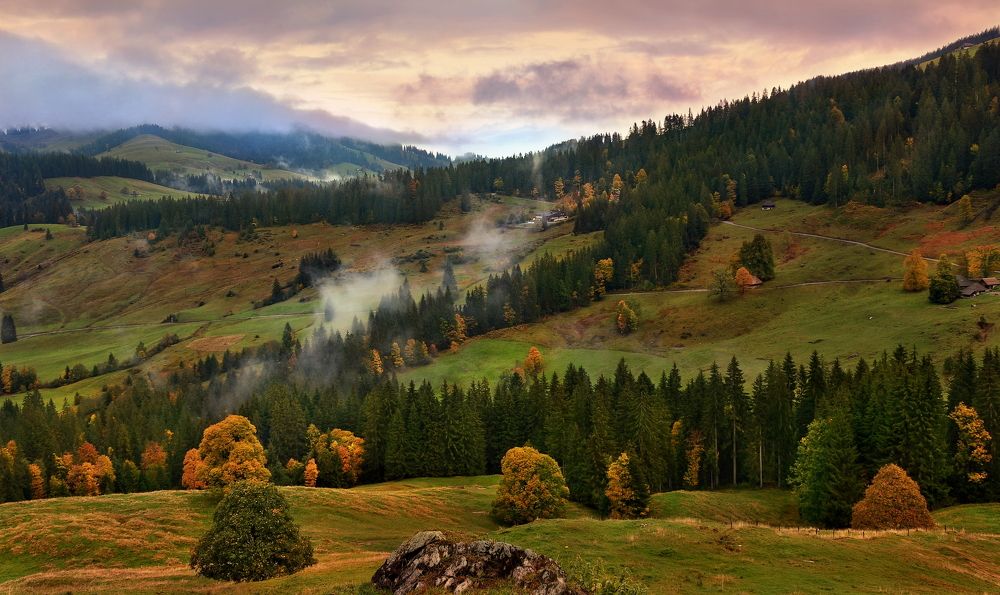 Photograph by Elena Wymann