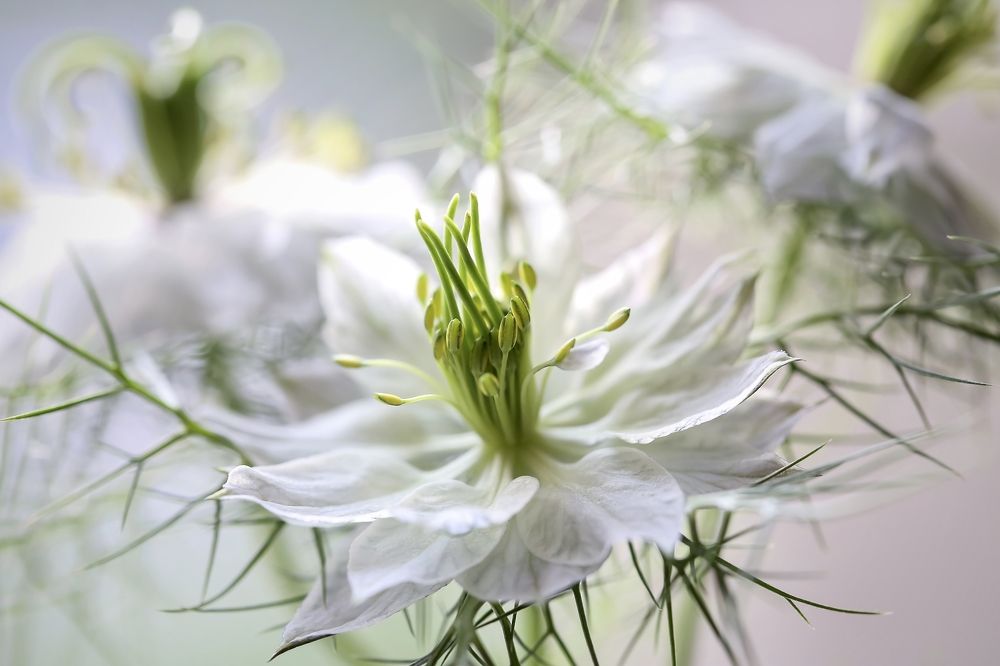 Photograph by Татьяна Кытина