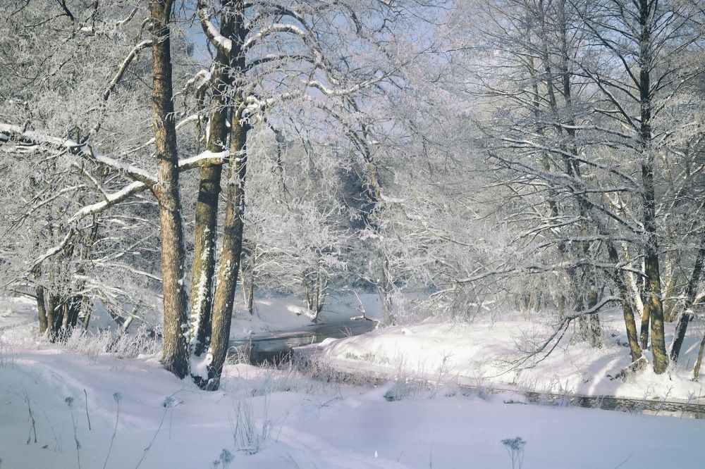 Photograph by Валерий Козуб