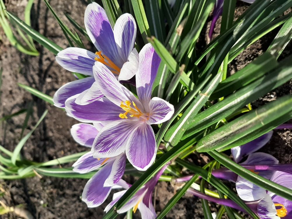 Фотография автора Светлана Дунаева