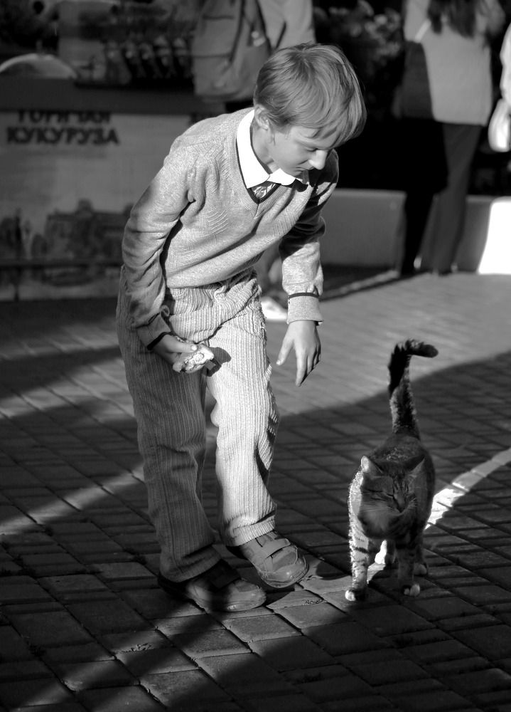 Без названия