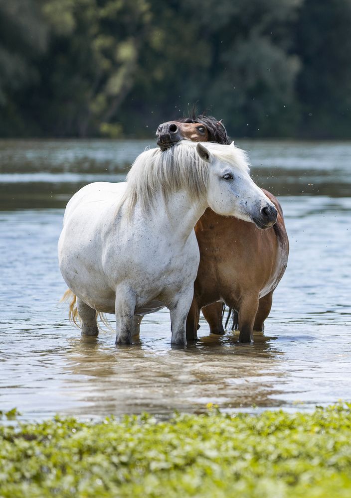 Photograph by Domagoj Sever