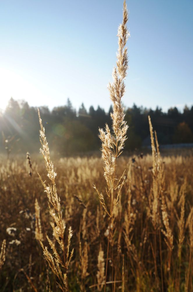 Photograph by Анна Алякина