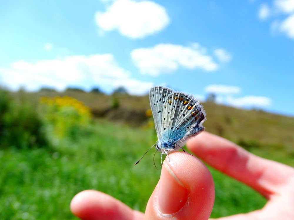 Photograph by Александра Семенихина