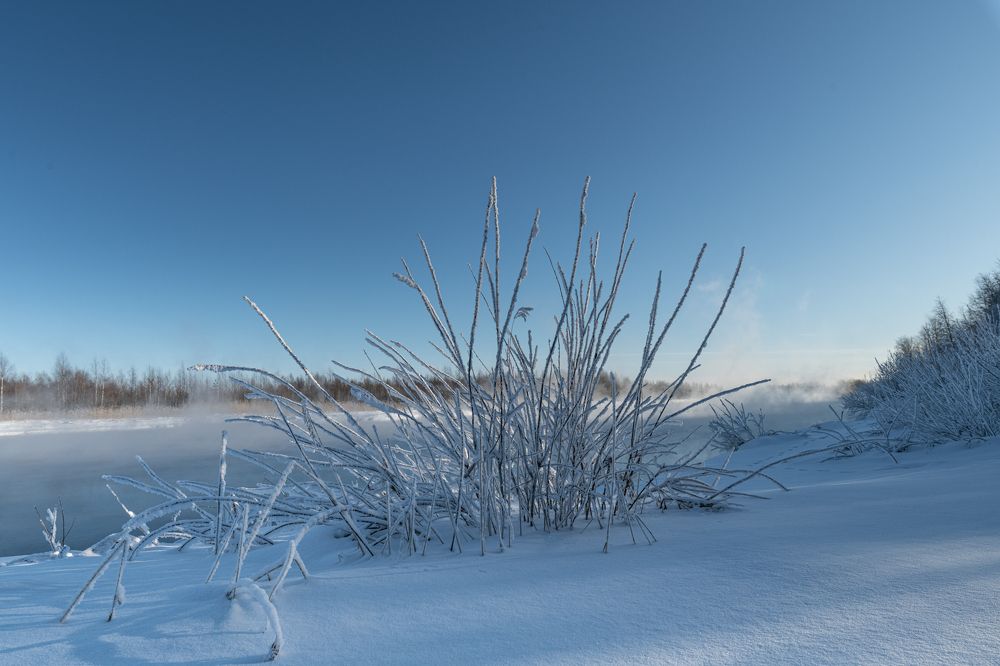 Photograph by Альбина Рычкова