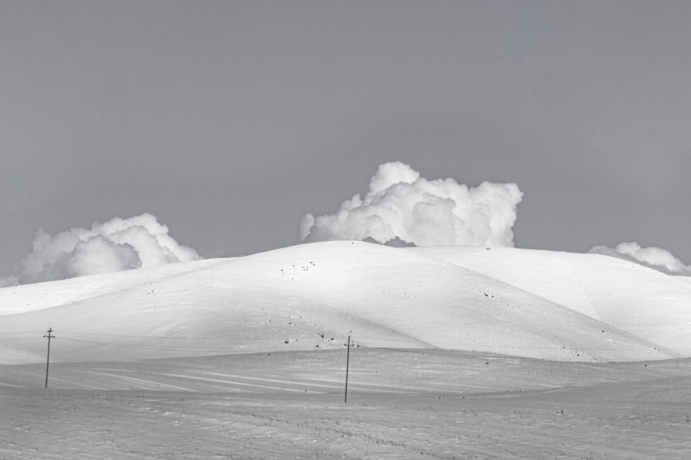 Фотография автора Milad Falahi