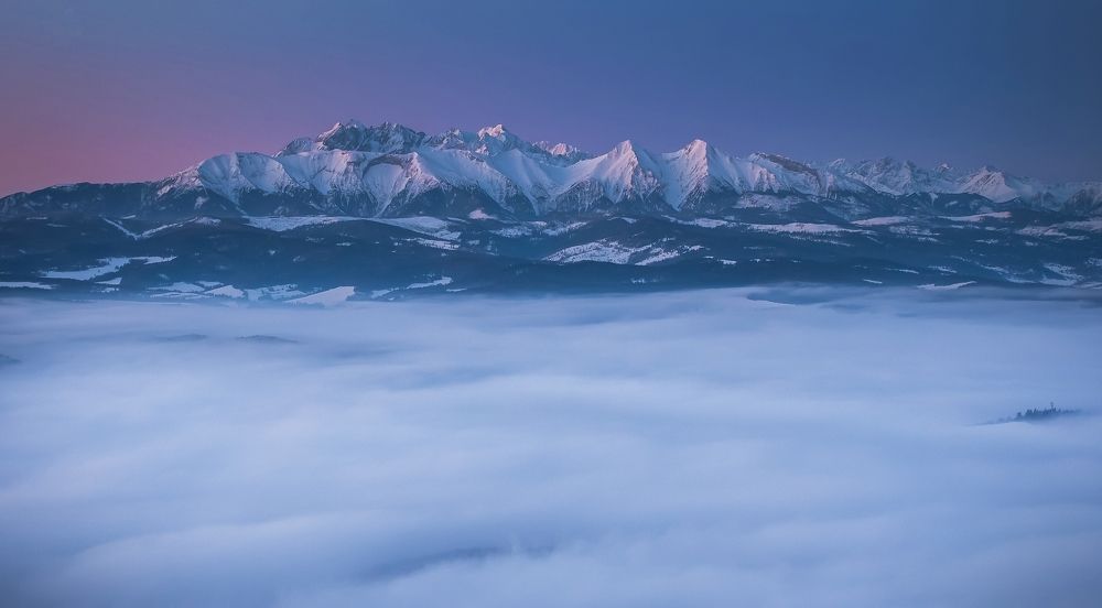 Photograph by Elżbieta