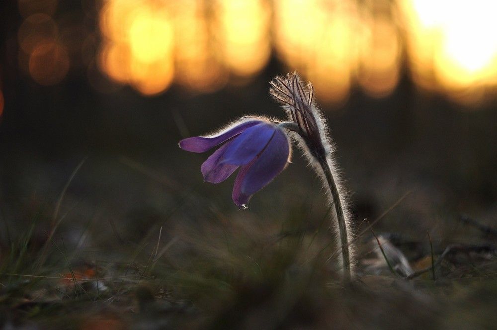 Photograph by Юрий Яковлев