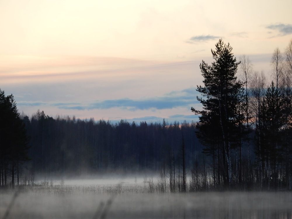 Photograph by Александр Зуев