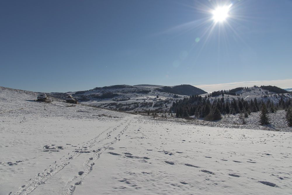 Photograph by Todea Mihai