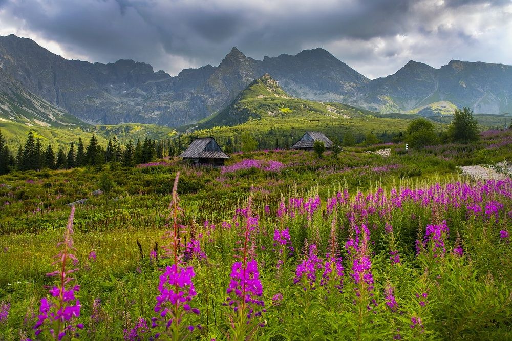 Photograph by Elżbieta