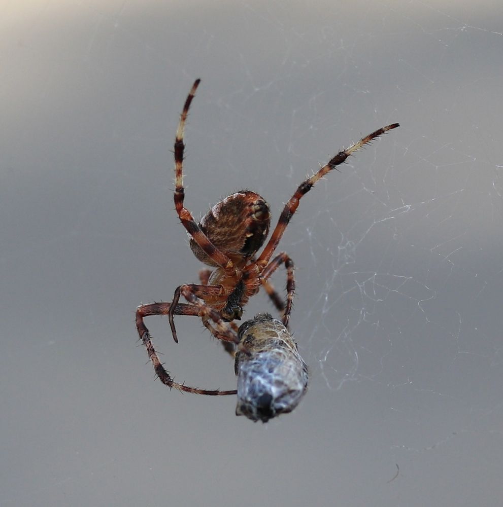 Photograph by Александр Николаев