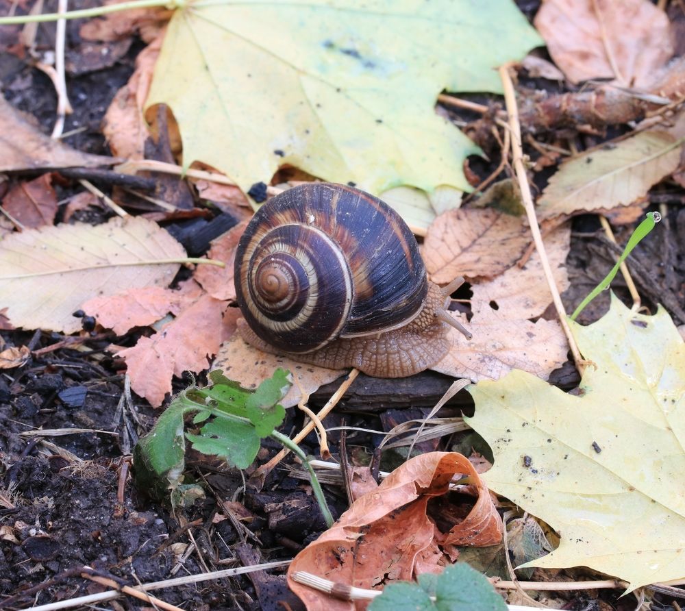 Photograph by Александр Николаев