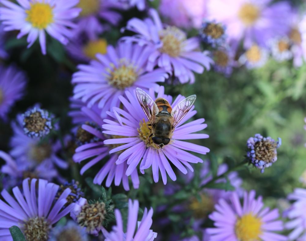 Photograph by Александр Николаев