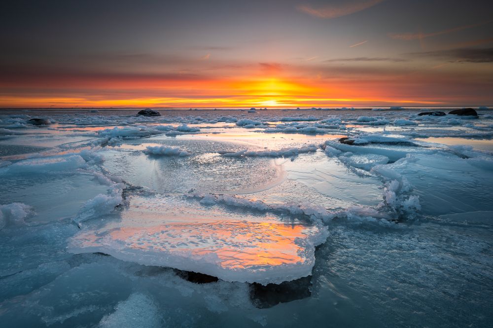 Photograph by Raigo Tõnisalu