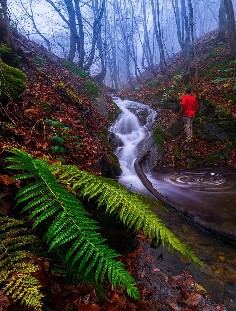 Фотография автора Saeed Ahmadzadeh