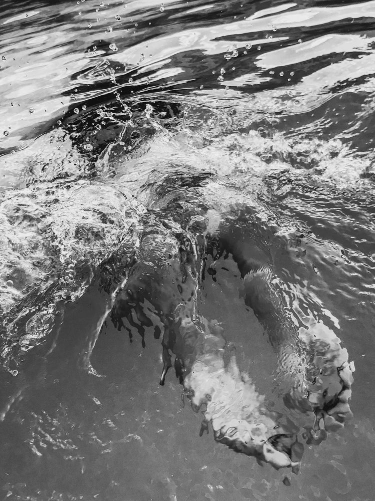 Photograph by Timofey Rodchenkov