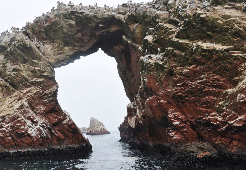 Photograph by Хвостов владимир Владимирович