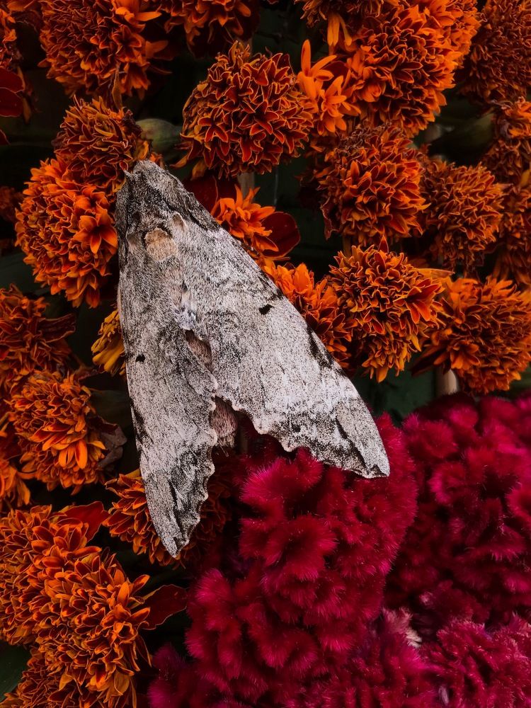 Photograph by Timofey Rodchenkov