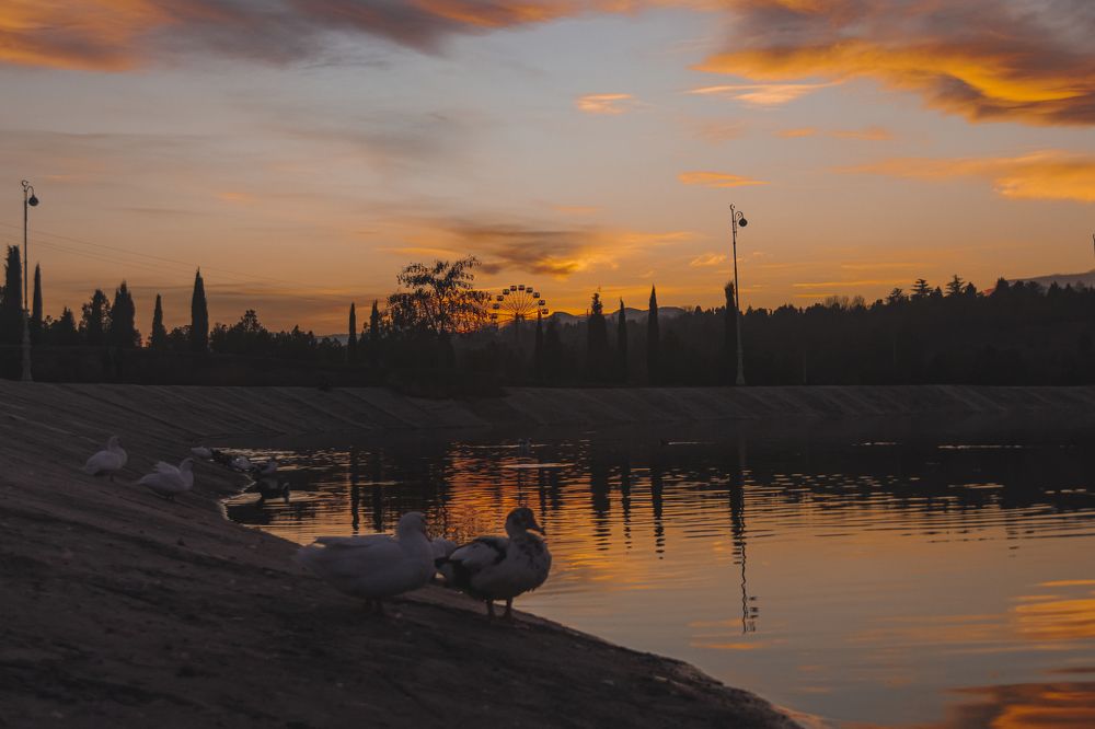 Photograph by Анар Гумбатов