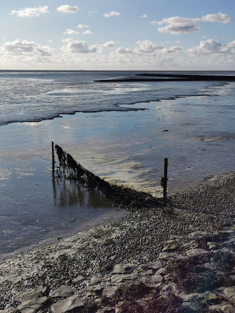 Photograph by Olga Weinberger