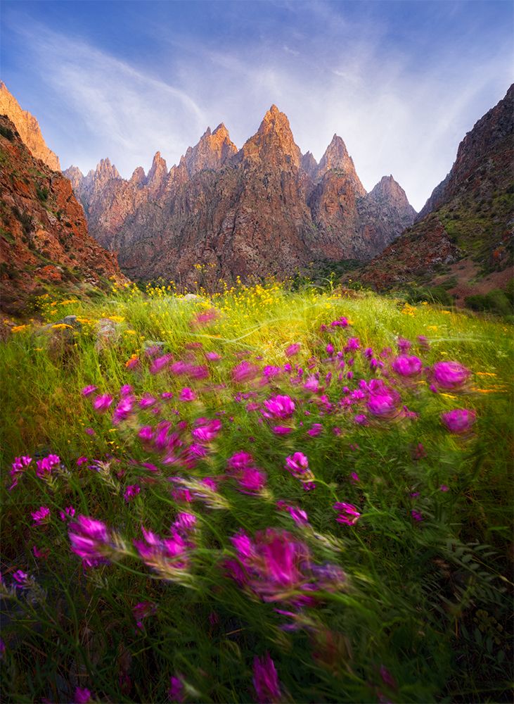 Фотография автора Saeed Ahmadzadeh