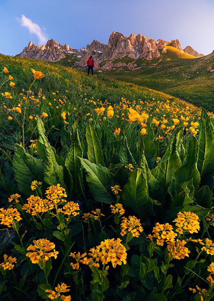 Фотография автора Saeed Ahmadzadeh