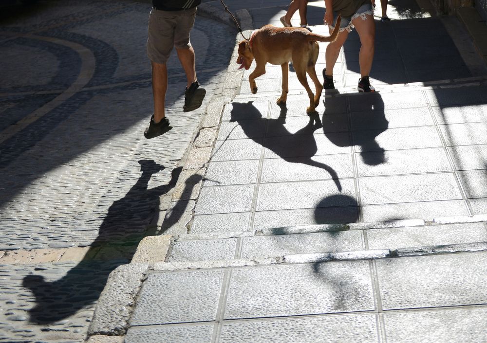 Photograph by Ludmila Stepnova