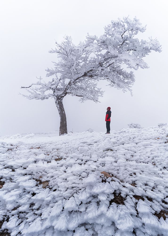 Фотография автора Saeed Ahmadzadeh