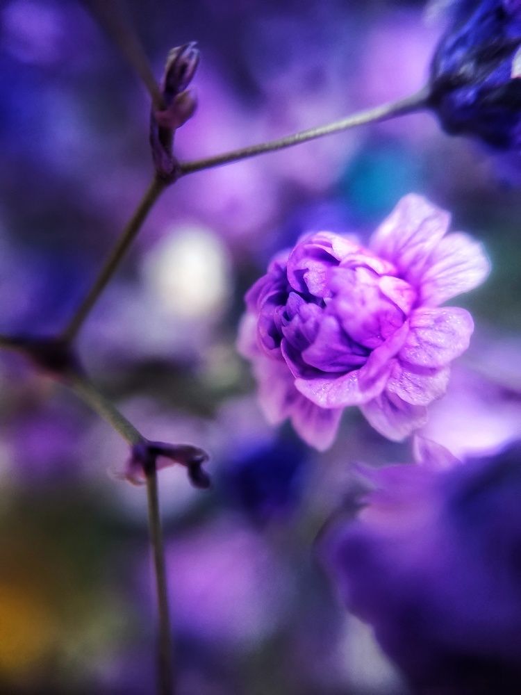 Photograph by Ольга Мажарук