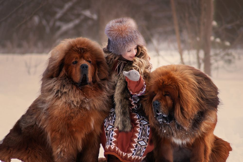 Photograph by Ирина Мошковская