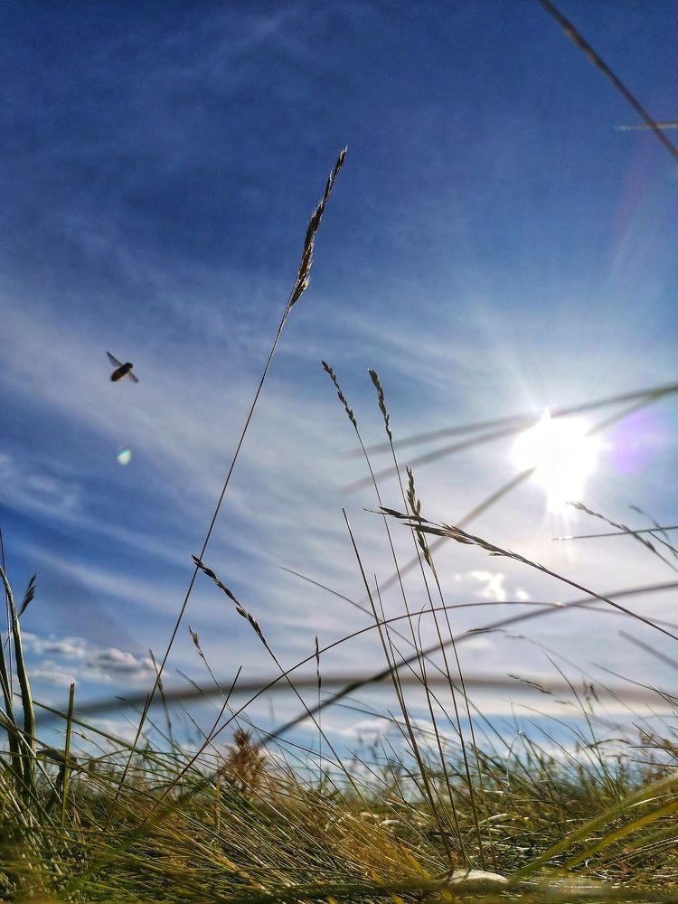 Photograph by Ольга Мажарук