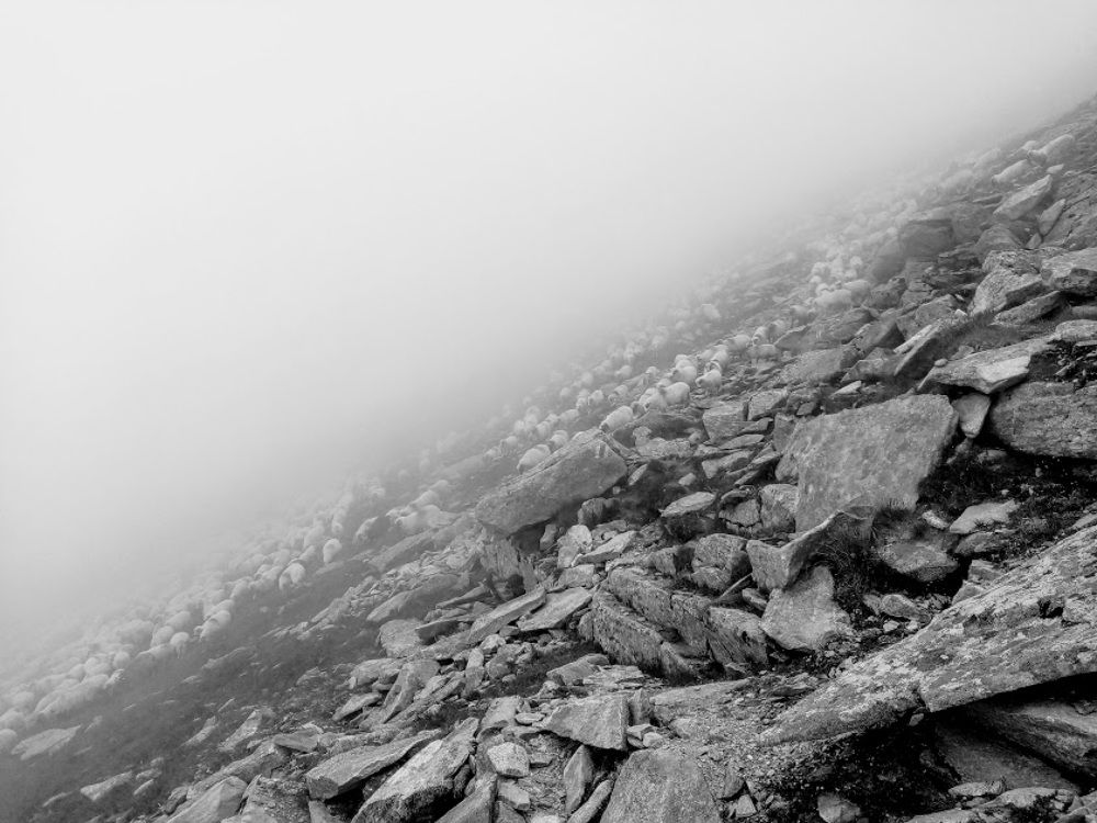 Photograph by Bogdan Mihalache